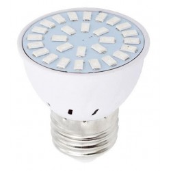 Apoule LED Horticole Germination E27 6W