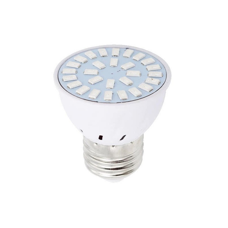 led horticole discount 6W